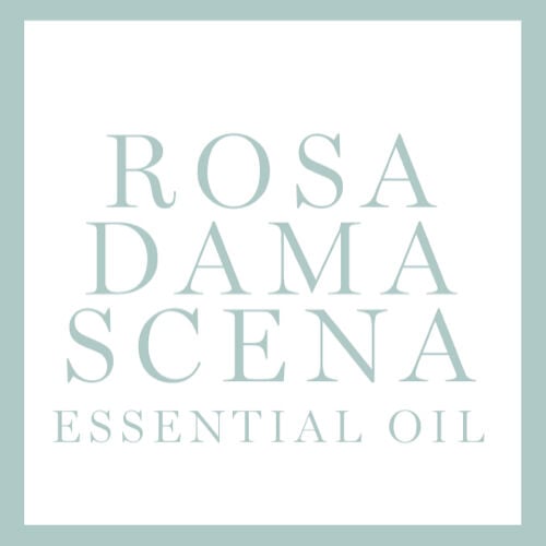 ROSA DAMASCENA ESSENTIAL OIL INGREDIENT